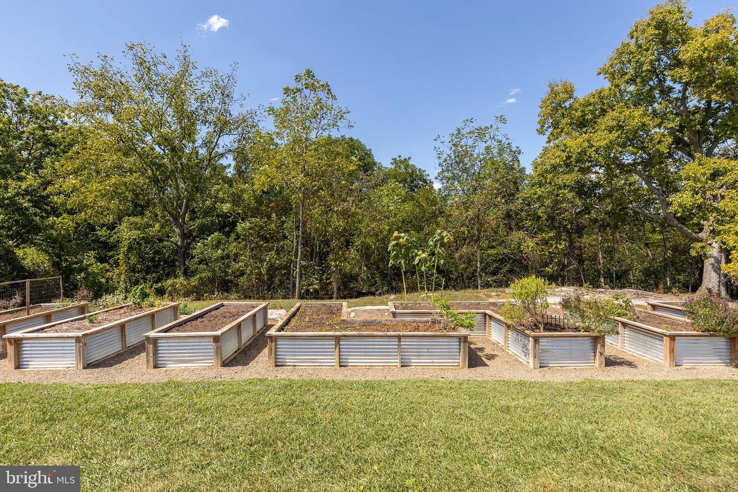 1744 LORD FAIRFAX HWY, BERRYVILLE, Virginia 22611, 4 Bedrooms Bedrooms, ,3 BathroomsBathrooms,Residential,For Sale,1744 LORD FAIRFAX HWY,VACL2006002 MLS # VACL2006002