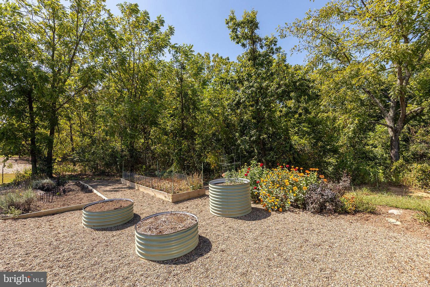 1744 LORD FAIRFAX HWY, BERRYVILLE, Virginia 22611, 4 Bedrooms Bedrooms, ,3 BathroomsBathrooms,Residential,For Sale,1744 LORD FAIRFAX HWY,VACL2006002 MLS # VACL2006002