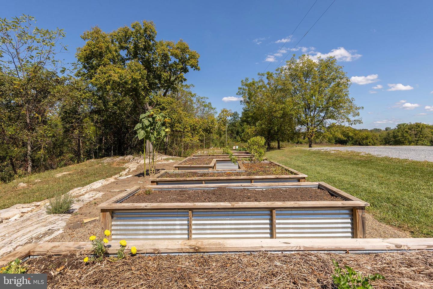 1744 LORD FAIRFAX HWY, BERRYVILLE, Virginia 22611, 4 Bedrooms Bedrooms, ,3 BathroomsBathrooms,Residential,For Sale,1744 LORD FAIRFAX HWY,VACL2006002 MLS # VACL2006002