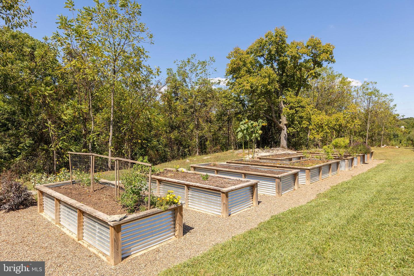 1744 LORD FAIRFAX HWY, BERRYVILLE, Virginia 22611, 4 Bedrooms Bedrooms, ,2 BathroomsBathrooms,Farm,For Sale,1744 LORD FAIRFAX HWY,VACL2006010 MLS # VACL2006010