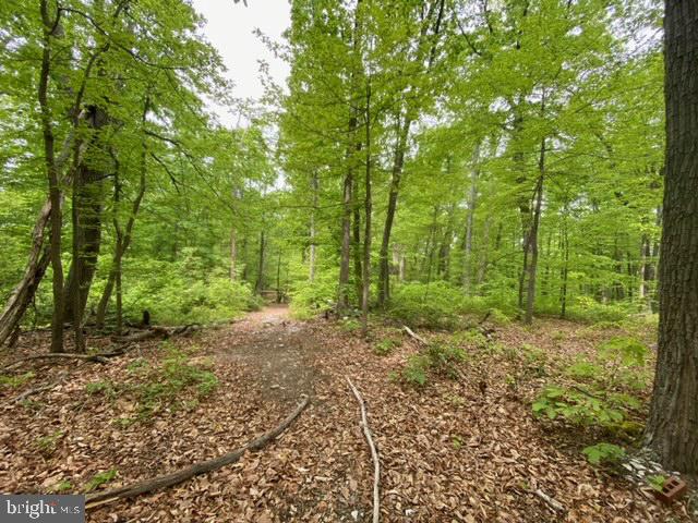 NEW MOUNTAIN RD, ALDIE, Virginia 20105, ,Farm,For Sale,NEW MOUNTAIN RD,VALO2107344 MLS # VALO2107344 NEW MOUNTAIN RD, ALDIE, Virginia 20105, ,Farm,For Sale,NEW MOUNTAIN RD,VALO2107344 MLS # VALO2107344