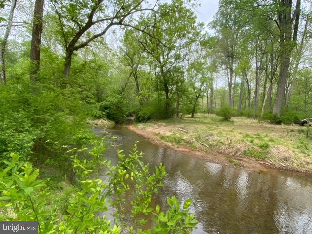 NEW MOUNTAIN RD, ALDIE, Virginia 20105, ,Farm,For Sale,NEW MOUNTAIN RD,VALO2107344 MLS # VALO2107344 NEW MOUNTAIN RD, ALDIE, Virginia 20105, ,Farm,For Sale,NEW MOUNTAIN RD,VALO2107344 MLS # VALO2107344