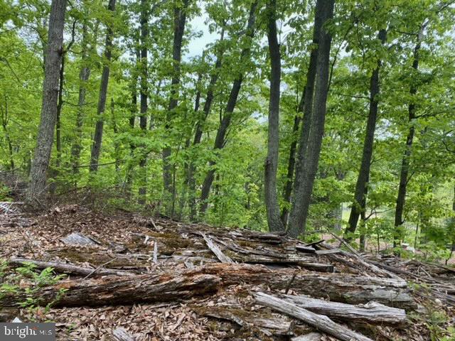 NEW MOUNTAIN RD, ALDIE, Virginia 20105, ,Farm,For Sale,NEW MOUNTAIN RD,VALO2107344 MLS # VALO2107344 NEW MOUNTAIN RD, ALDIE, Virginia 20105, ,Farm,For Sale,NEW MOUNTAIN RD,VALO2107344 MLS # VALO2107344