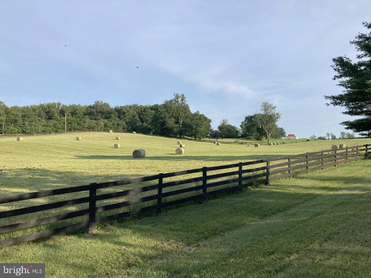 521 DEARING RD, HUNTLY, Virginia 22640, 3 Bedrooms Bedrooms, ,3 BathroomsBathrooms,Farm,For Sale,521 DEARING RD,VARP2002286 MLS # VARP2002286 521 DEARING RD, HUNTLY, Virginia 22640, 3 Bedrooms Bedrooms, ,3 BathroomsBathrooms,Farm,For Sale,521 DEARING RD,VARP2002286 MLS # VARP2002286