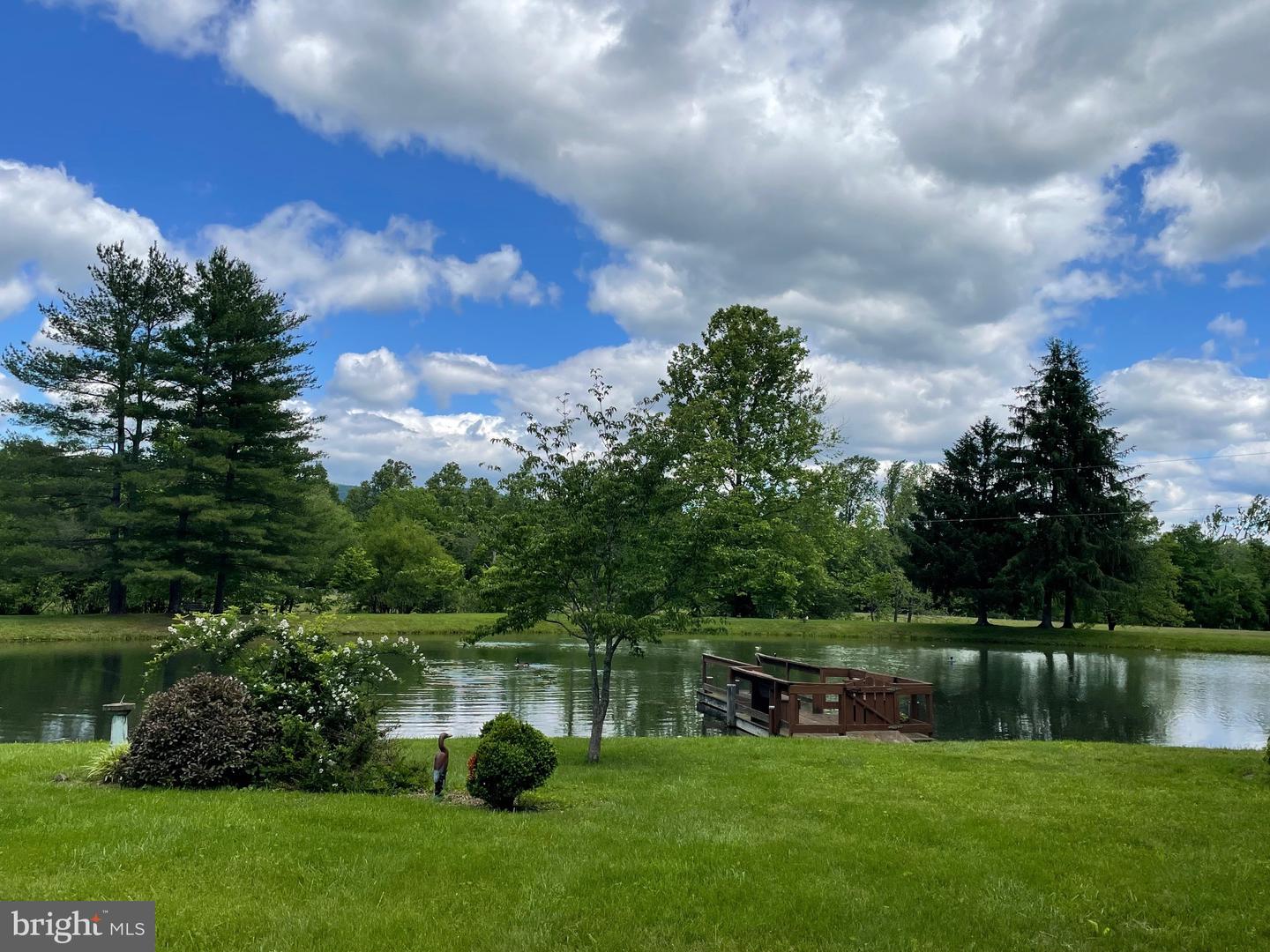 521 DEARING RD, HUNTLY, Virginia 22640, 3 Bedrooms Bedrooms, ,3 BathroomsBathrooms,Farm,For Sale,521 DEARING RD,VARP2002286 MLS # VARP2002286 521 DEARING RD, HUNTLY, Virginia 22640, 3 Bedrooms Bedrooms, ,3 BathroomsBathrooms,Farm,For Sale,521 DEARING RD,VARP2002286 MLS # VARP2002286