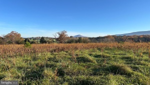2 LOTS 98 ACRES SMITH CREEK RD, NEW MARKET, Virginia 22844, ,Farm,For Sale,2 LOTS 98 ACRES SMITH CREEK RD,VASH2011736 MLS # VASH2011736