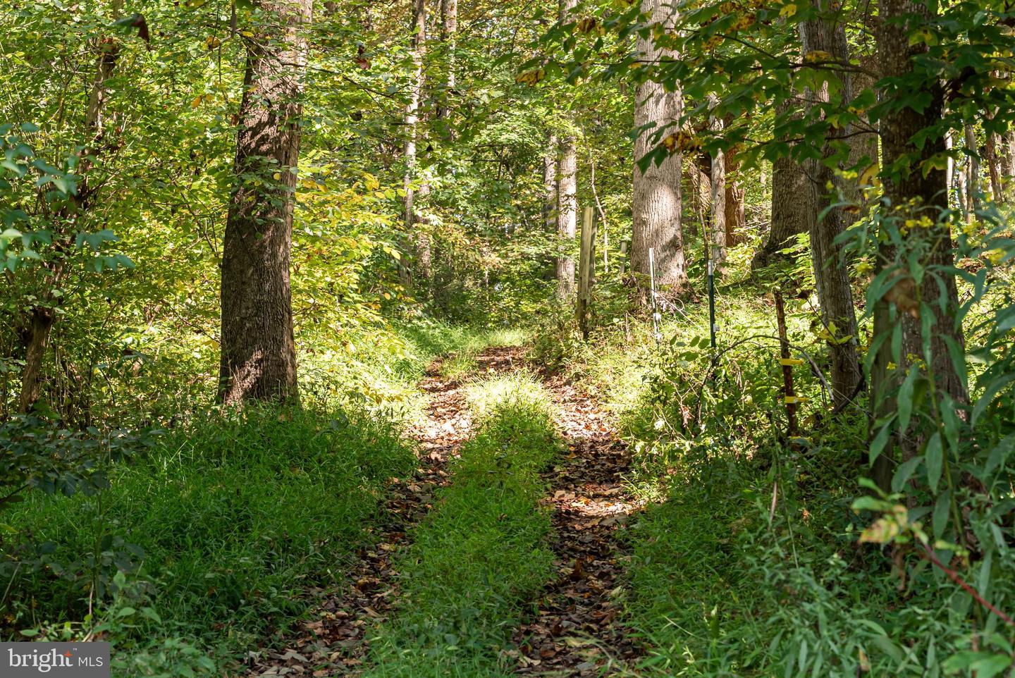 3225 SAGE RD, MARKHAM, Virginia 22643, 4 Bedrooms Bedrooms, ,3 BathroomsBathrooms,Residential,For Sale,3225 SAGE RD,VAFQ2018102 MLS # VAFQ2018102