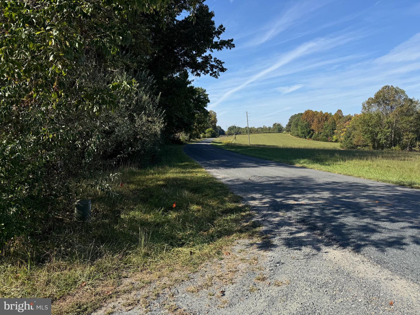 0 COLEMAN MOUNTAIN RD, APPOMATTOX, Virginia 24522, ,Farm,For Sale,0 COLEMAN MOUNTAIN RD,VAAV2000038 MLS # VAAV2000038 0 COLEMAN MOUNTAIN RD, APPOMATTOX, Virginia 24522, ,Farm,For Sale,0 COLEMAN MOUNTAIN RD,VAAV2000038 MLS # VAAV2000038
