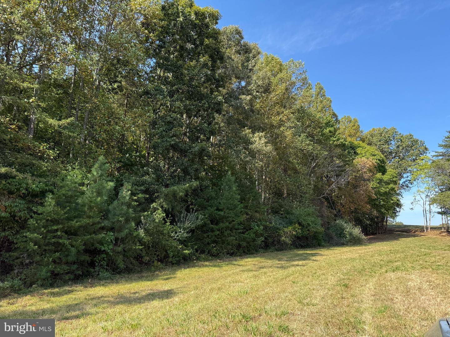 0 COLEMAN MOUNTAIN RD, APPOMATTOX, Virginia 24522, ,Farm,For Sale,0 COLEMAN MOUNTAIN RD,VAAV2000038 MLS # VAAV2000038 0 COLEMAN MOUNTAIN RD, APPOMATTOX, Virginia 24522, ,Farm,For Sale,0 COLEMAN MOUNTAIN RD,VAAV2000038 MLS # VAAV2000038