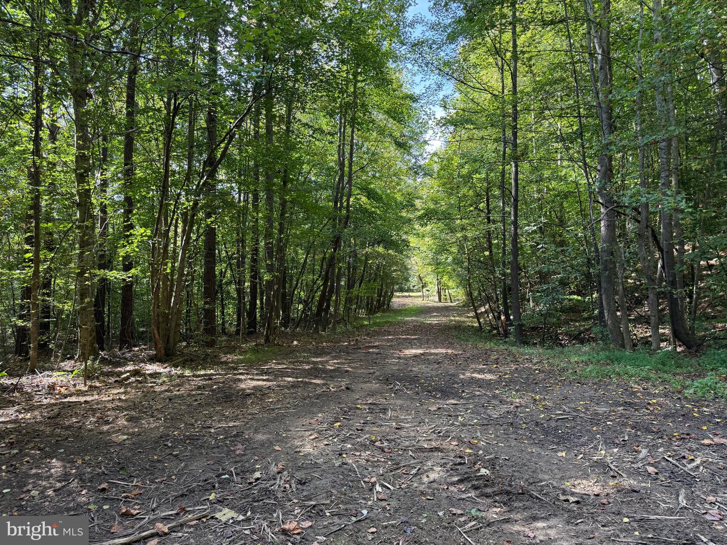 0 COLEMAN MOUNTAIN RD, APPOMATTOX, Virginia 24522, ,Farm,For Sale,0 COLEMAN MOUNTAIN RD,VAAV2000038 MLS # VAAV2000038 0 COLEMAN MOUNTAIN RD, APPOMATTOX, Virginia 24522, ,Farm,For Sale,0 COLEMAN MOUNTAIN RD,VAAV2000038 MLS # VAAV2000038