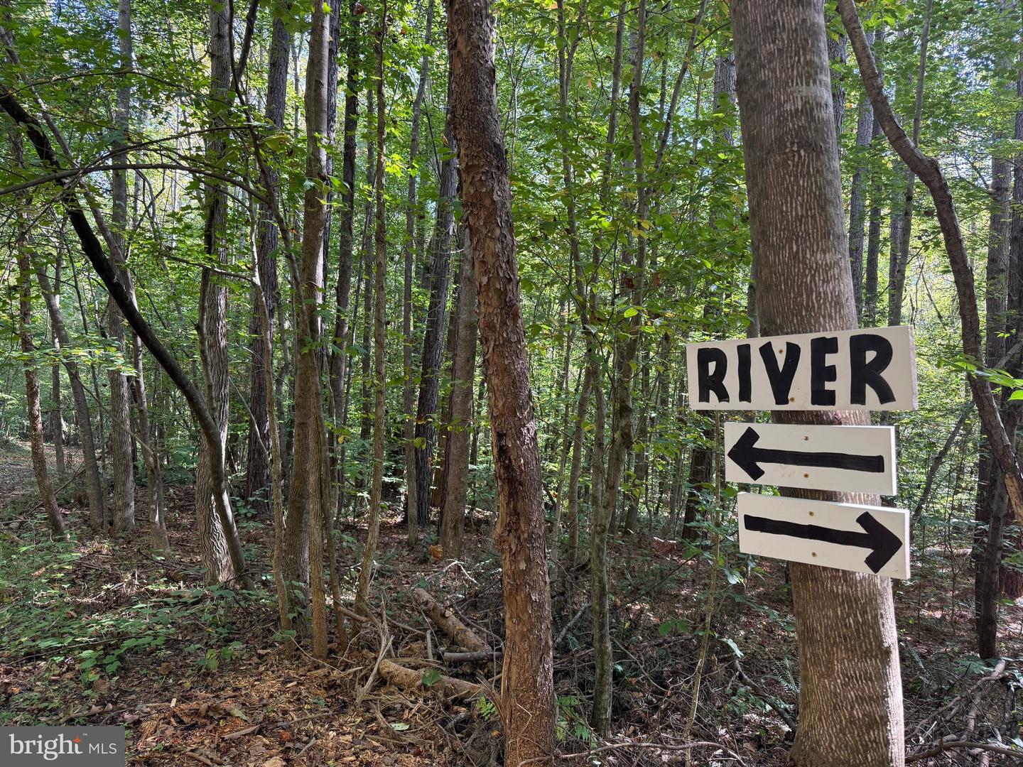0 COLEMAN MOUNTAIN RD, APPOMATTOX, Virginia 24522, ,Farm,For Sale,0 COLEMAN MOUNTAIN RD,VAAV2000038 MLS # VAAV2000038 0 COLEMAN MOUNTAIN RD, APPOMATTOX, Virginia 24522, ,Farm,For Sale,0 COLEMAN MOUNTAIN RD,VAAV2000038 MLS # VAAV2000038
