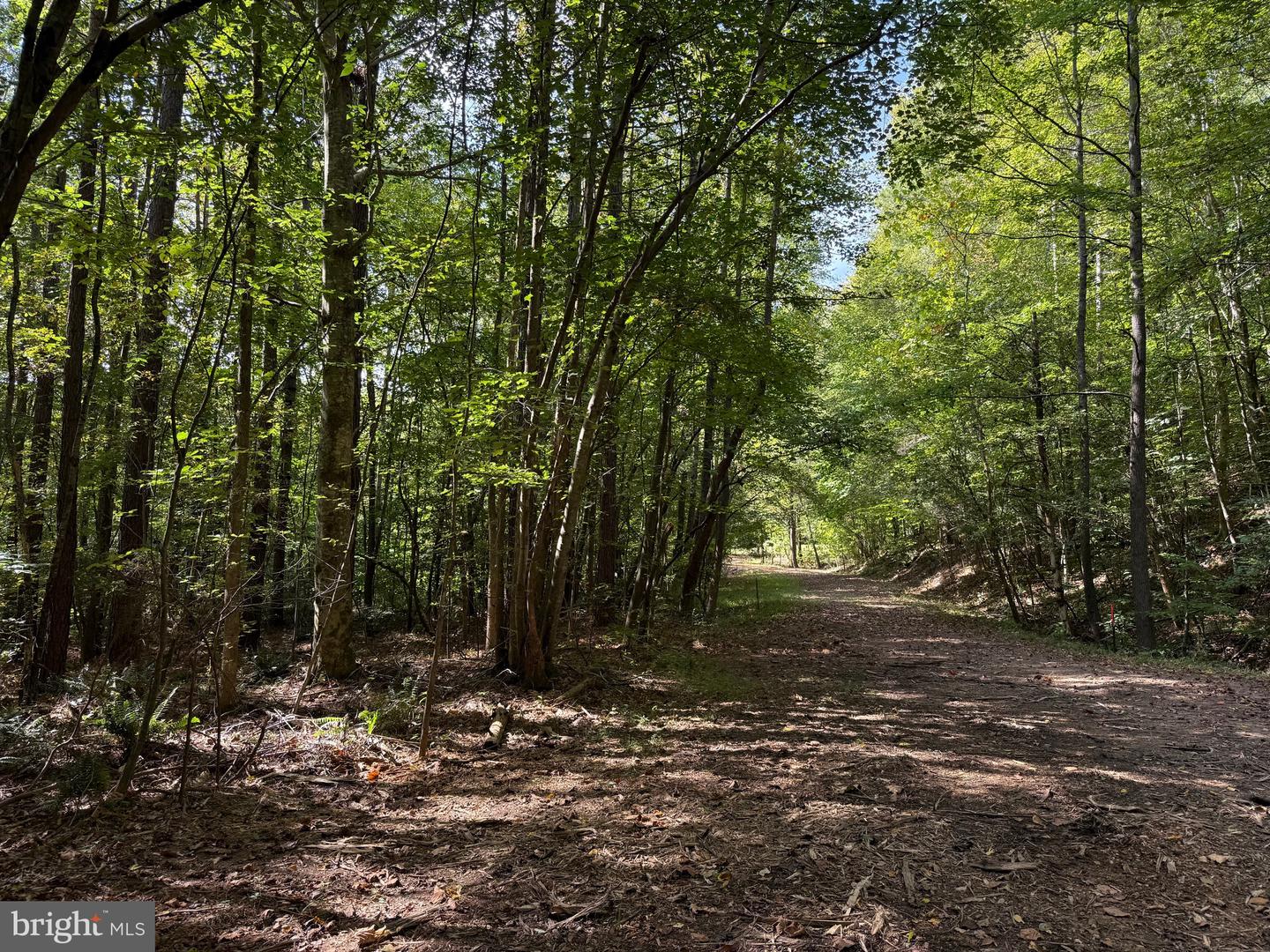 0 COLEMAN MOUNTAIN RD, APPOMATTOX, Virginia 24522, ,Farm,For Sale,0 COLEMAN MOUNTAIN RD,VAAV2000038 MLS # VAAV2000038 0 COLEMAN MOUNTAIN RD, APPOMATTOX, Virginia 24522, ,Farm,For Sale,0 COLEMAN MOUNTAIN RD,VAAV2000038 MLS # VAAV2000038