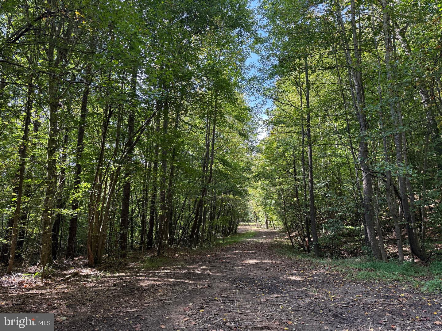 0 COLEMAN MOUNTAIN RD, APPOMATTOX, Virginia 24522, ,Farm,For Sale,0 COLEMAN MOUNTAIN RD,VAAV2000038 MLS # VAAV2000038 0 COLEMAN MOUNTAIN RD, APPOMATTOX, Virginia 24522, ,Farm,For Sale,0 COLEMAN MOUNTAIN RD,VAAV2000038 MLS # VAAV2000038