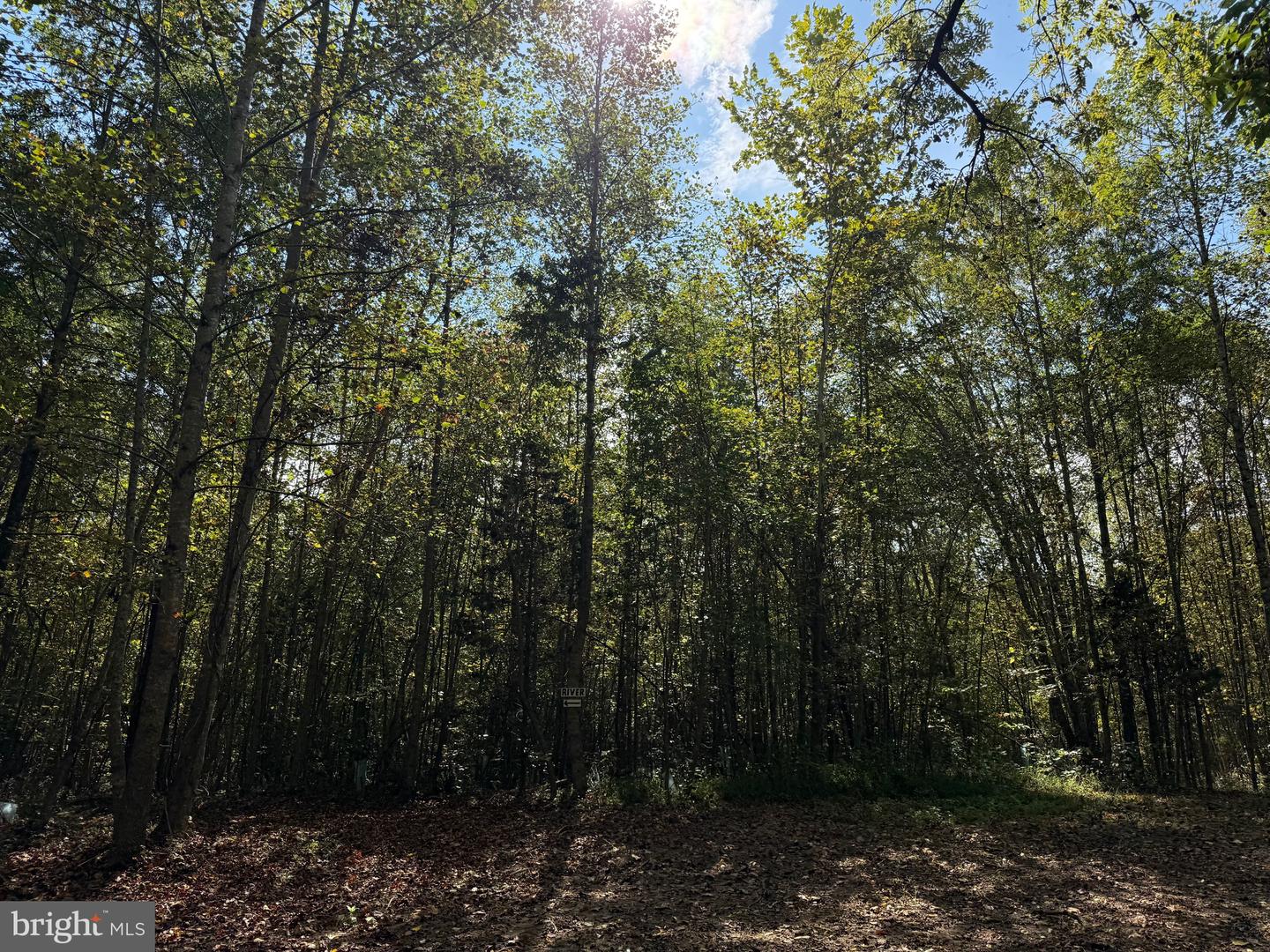 0 COLEMAN MOUNTAIN RD, APPOMATTOX, Virginia 24522, ,Farm,For Sale,0 COLEMAN MOUNTAIN RD,VAAV2000038 MLS # VAAV2000038 0 COLEMAN MOUNTAIN RD, APPOMATTOX, Virginia 24522, ,Farm,For Sale,0 COLEMAN MOUNTAIN RD,VAAV2000038 MLS # VAAV2000038