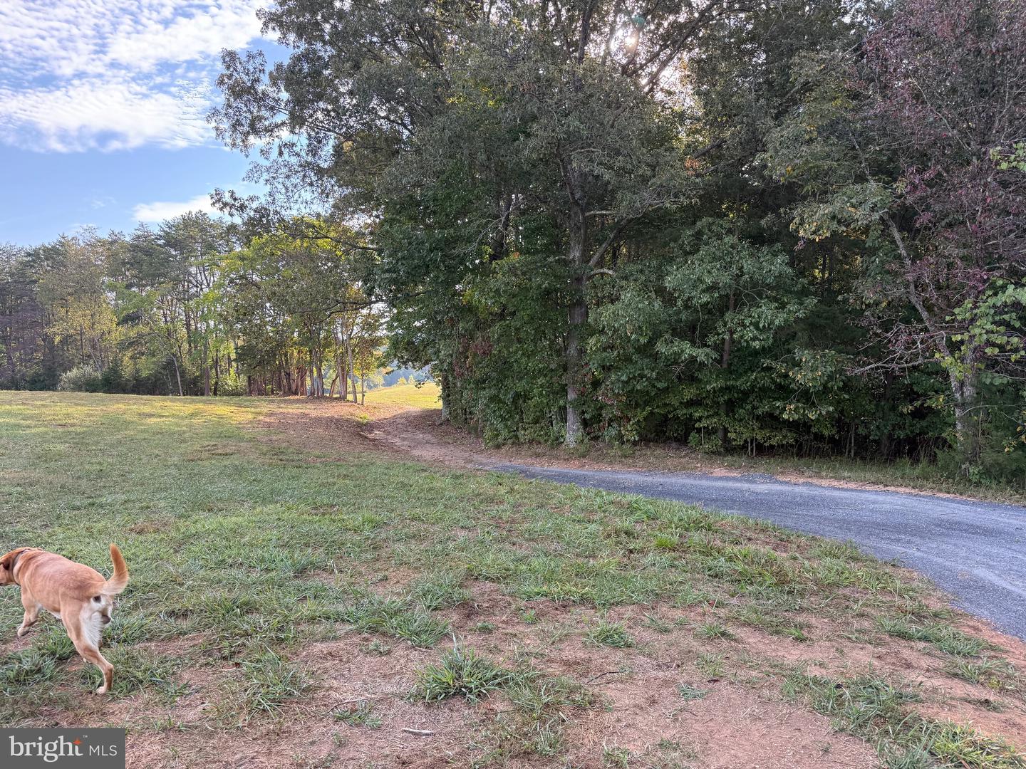 0 COLEMAN MOUNTAIN RD, APPOMATTOX, Virginia 24522, ,Farm,For Sale,0 COLEMAN MOUNTAIN RD,VAAV2000038 MLS # VAAV2000038 0 COLEMAN MOUNTAIN RD, APPOMATTOX, Virginia 24522, ,Farm,For Sale,0 COLEMAN MOUNTAIN RD,VAAV2000038 MLS # VAAV2000038