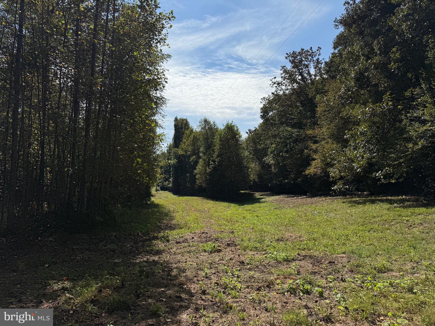 0 COLEMAN MOUNTAIN RD, APPOMATTOX, Virginia 24522, ,Farm,For Sale,0 COLEMAN MOUNTAIN RD,VAAV2000038 MLS # VAAV2000038 0 COLEMAN MOUNTAIN RD, APPOMATTOX, Virginia 24522, ,Farm,For Sale,0 COLEMAN MOUNTAIN RD,VAAV2000038 MLS # VAAV2000038