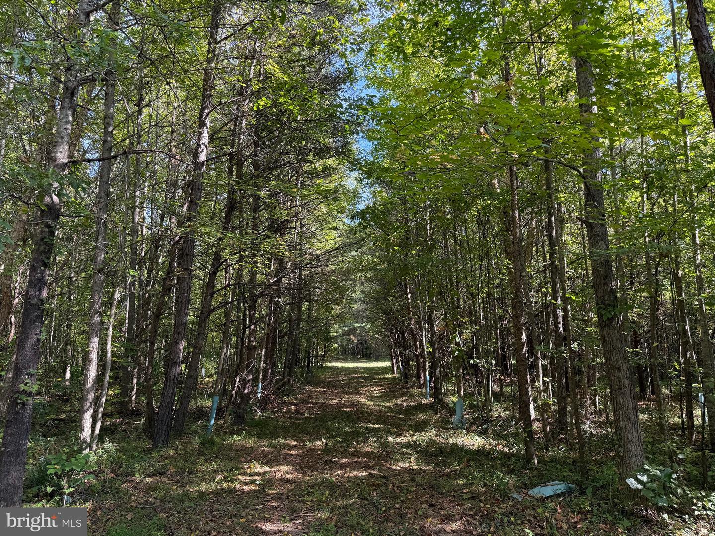 0 COLEMAN MOUNTAIN RD, APPOMATTOX, Virginia 24522, ,Farm,For Sale,0 COLEMAN MOUNTAIN RD,VAAV2000038 MLS # VAAV2000038 0 COLEMAN MOUNTAIN RD, APPOMATTOX, Virginia 24522, ,Farm,For Sale,0 COLEMAN MOUNTAIN RD,VAAV2000038 MLS # VAAV2000038