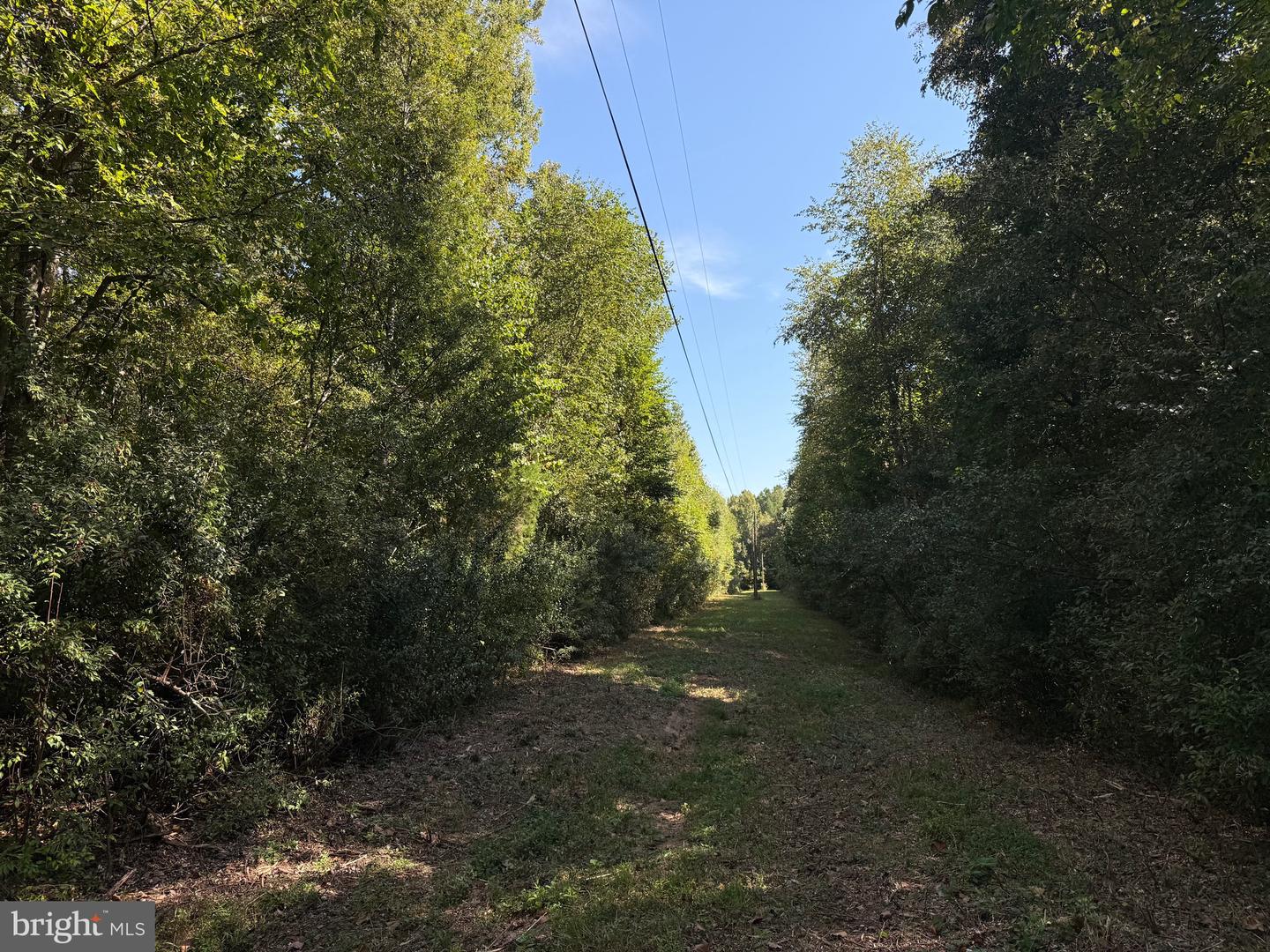 0 COLEMAN MOUNTAIN RD, APPOMATTOX, Virginia 24522, ,Farm,For Sale,0 COLEMAN MOUNTAIN RD,VAAV2000038 MLS # VAAV2000038 0 COLEMAN MOUNTAIN RD, APPOMATTOX, Virginia 24522, ,Farm,For Sale,0 COLEMAN MOUNTAIN RD,VAAV2000038 MLS # VAAV2000038
