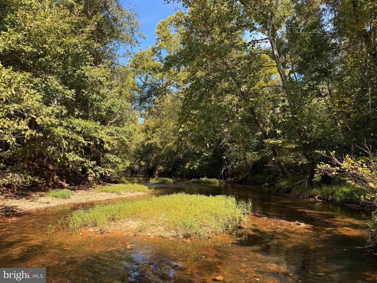 0 COLEMAN MOUNTAIN RD, APPOMATTOX, Virginia 24522, ,Farm,For Sale,0 COLEMAN MOUNTAIN RD,VAAV2000038 MLS # VAAV2000038 0 COLEMAN MOUNTAIN RD, APPOMATTOX, Virginia 24522, ,Farm,For Sale,0 COLEMAN MOUNTAIN RD,VAAV2000038 MLS # VAAV2000038