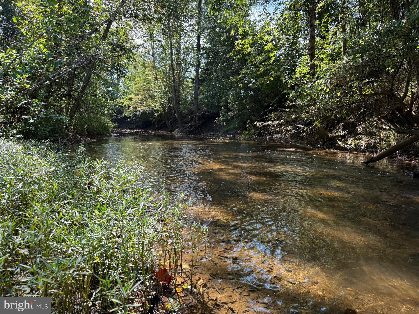 0 COLEMAN MOUNTAIN RD, APPOMATTOX, Virginia 24522, ,Farm,For Sale,0 COLEMAN MOUNTAIN RD,VAAV2000038 MLS # VAAV2000038 0 COLEMAN MOUNTAIN RD, APPOMATTOX, Virginia 24522, ,Farm,For Sale,0 COLEMAN MOUNTAIN RD,VAAV2000038 MLS # VAAV2000038