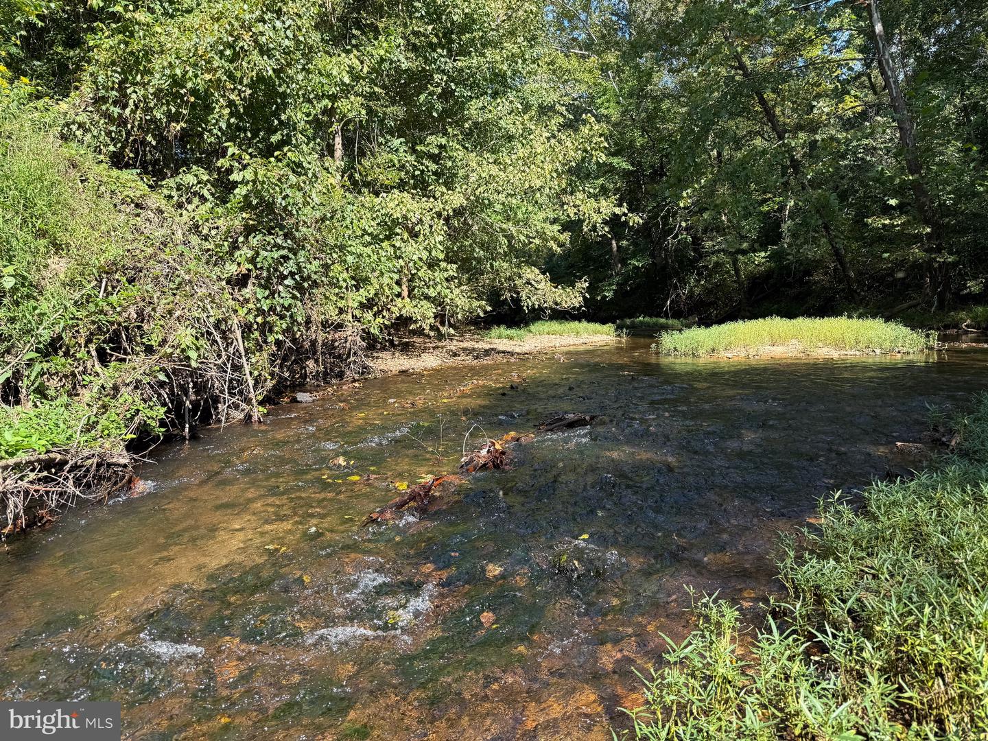 0 COLEMAN MOUNTAIN RD, APPOMATTOX, Virginia 24522, ,Farm,For Sale,0 COLEMAN MOUNTAIN RD,VAAV2000038 MLS # VAAV2000038 0 COLEMAN MOUNTAIN RD, APPOMATTOX, Virginia 24522, ,Farm,For Sale,0 COLEMAN MOUNTAIN RD,VAAV2000038 MLS # VAAV2000038