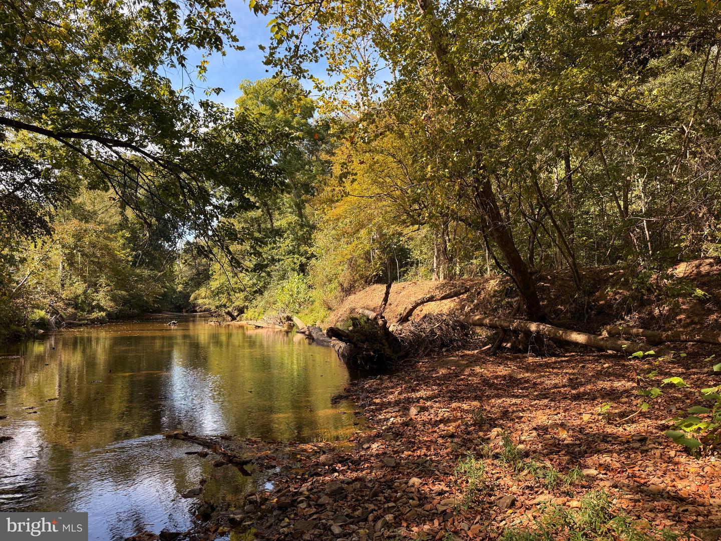0 COLEMAN MOUNTAIN RD, APPOMATTOX, Virginia 24522, ,Farm,For Sale,0 COLEMAN MOUNTAIN RD,VAAV2000038 MLS # VAAV2000038 0 COLEMAN MOUNTAIN RD, APPOMATTOX, Virginia 24522, ,Farm,For Sale,0 COLEMAN MOUNTAIN RD,VAAV2000038 MLS # VAAV2000038