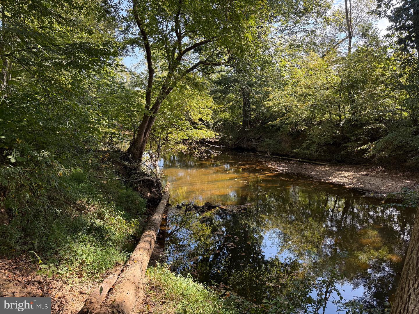 0 COLEMAN MOUNTAIN RD, APPOMATTOX, Virginia 24522, ,Farm,For Sale,0 COLEMAN MOUNTAIN RD,VAAV2000038 MLS # VAAV2000038 0 COLEMAN MOUNTAIN RD, APPOMATTOX, Virginia 24522, ,Farm,For Sale,0 COLEMAN MOUNTAIN RD,VAAV2000038 MLS # VAAV2000038