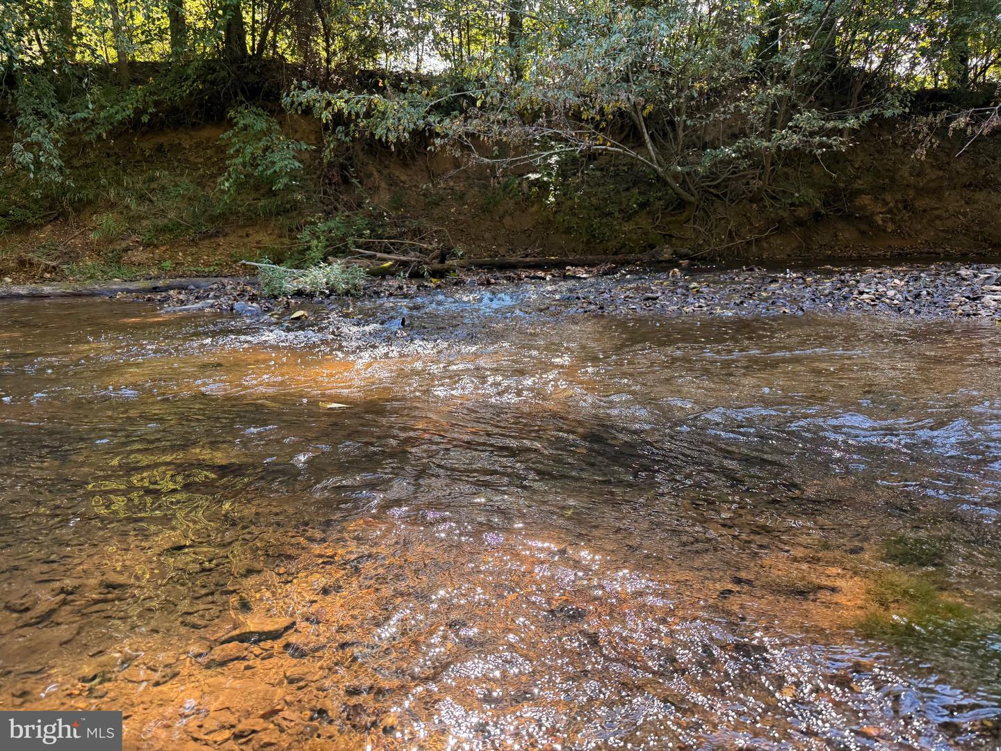 0 COLEMAN MOUNTAIN RD, APPOMATTOX, Virginia 24522, ,Farm,For Sale,0 COLEMAN MOUNTAIN RD,VAAV2000038 MLS # VAAV2000038 0 COLEMAN MOUNTAIN RD, APPOMATTOX, Virginia 24522, ,Farm,For Sale,0 COLEMAN MOUNTAIN RD,VAAV2000038 MLS # VAAV2000038