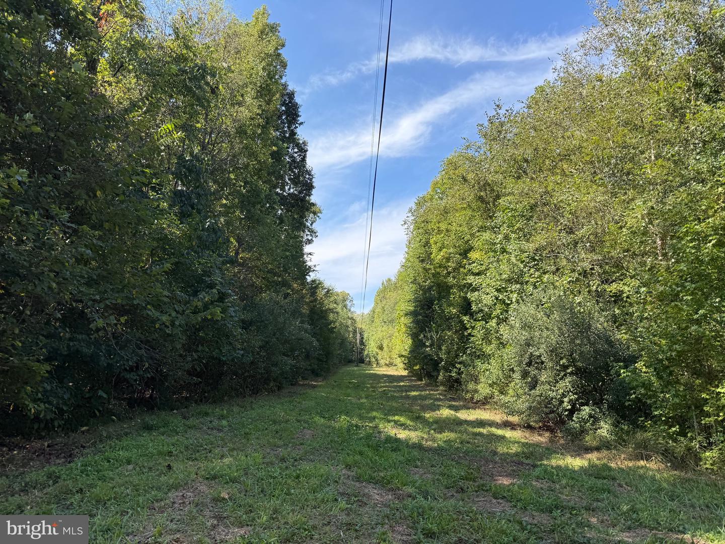 0 COLEMAN MOUNTAIN RD, APPOMATTOX, Virginia 24522, ,Farm,For Sale,0 COLEMAN MOUNTAIN RD,VAAV2000038 MLS # VAAV2000038 0 COLEMAN MOUNTAIN RD, APPOMATTOX, Virginia 24522, ,Farm,For Sale,0 COLEMAN MOUNTAIN RD,VAAV2000038 MLS # VAAV2000038