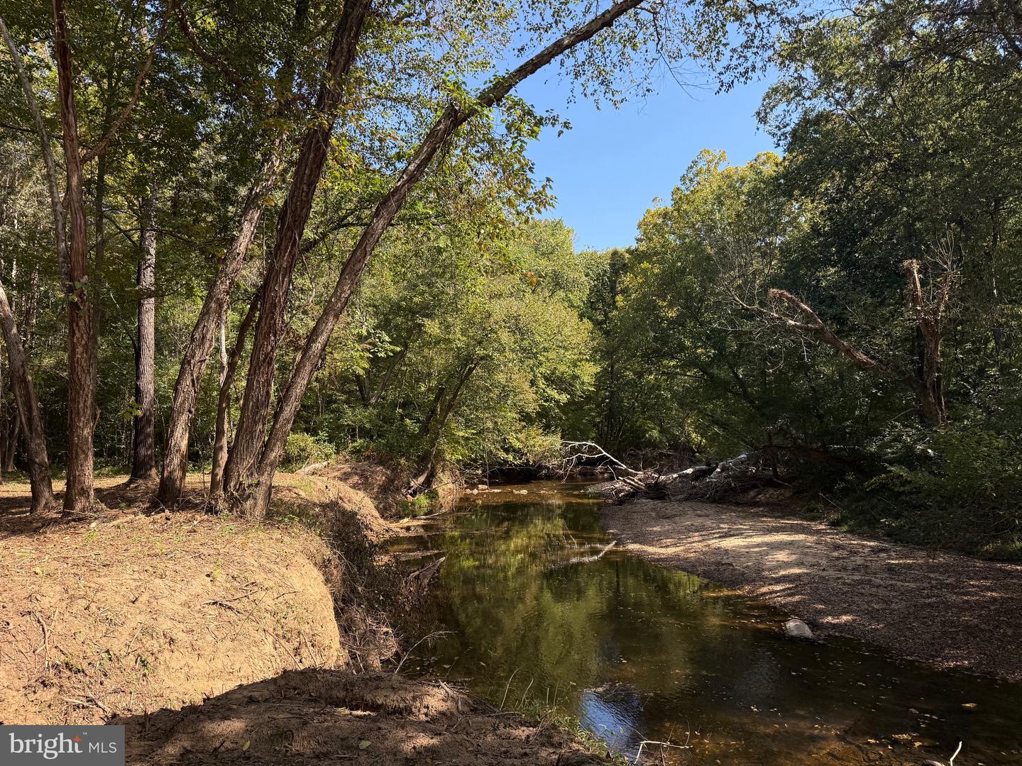 0 COLEMAN MOUNTAIN RD, APPOMATTOX, Virginia 24522, ,Farm,For Sale,0 COLEMAN MOUNTAIN RD,VAAV2000038 MLS # VAAV2000038 0 COLEMAN MOUNTAIN RD, APPOMATTOX, Virginia 24522, ,Farm,For Sale,0 COLEMAN MOUNTAIN RD,VAAV2000038 MLS # VAAV2000038