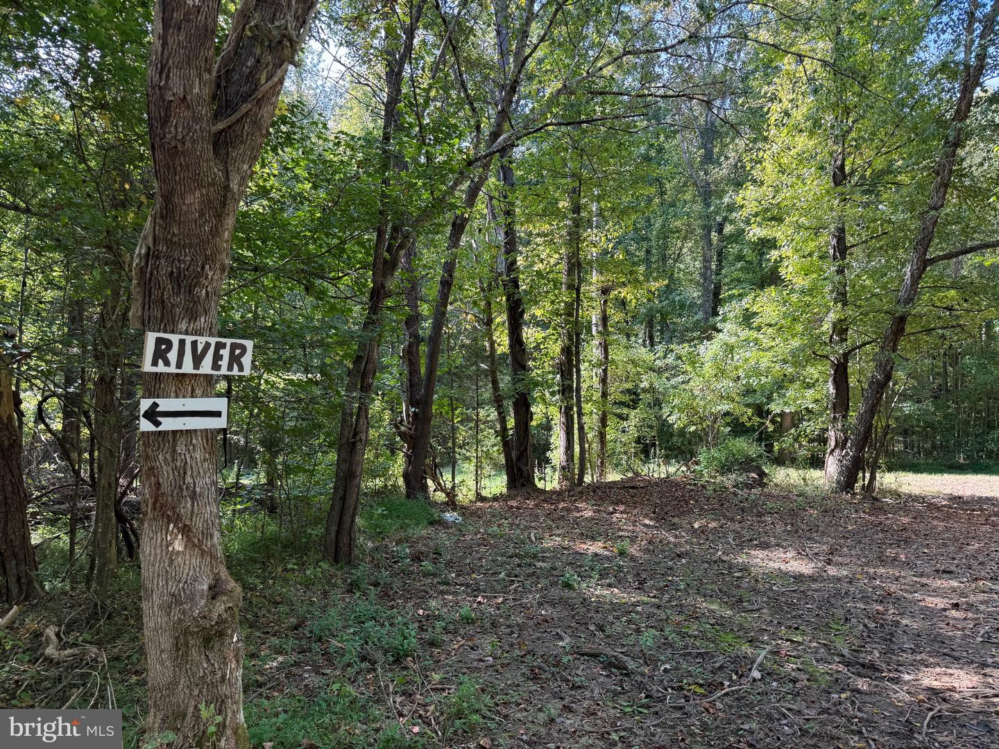 0 COLEMAN MOUNTAIN RD, APPOMATTOX, Virginia 24522, ,Farm,For Sale,0 COLEMAN MOUNTAIN RD,VAAV2000038 MLS # VAAV2000038 0 COLEMAN MOUNTAIN RD, APPOMATTOX, Virginia 24522, ,Farm,For Sale,0 COLEMAN MOUNTAIN RD,VAAV2000038 MLS # VAAV2000038