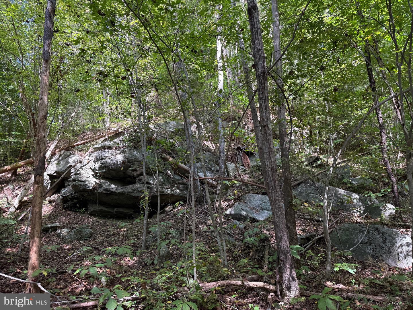 0 COLEMAN MOUNTAIN RD, APPOMATTOX, Virginia 24522, ,Farm,For Sale,0 COLEMAN MOUNTAIN RD,VAAV2000038 MLS # VAAV2000038 0 COLEMAN MOUNTAIN RD, APPOMATTOX, Virginia 24522, ,Farm,For Sale,0 COLEMAN MOUNTAIN RD,VAAV2000038 MLS # VAAV2000038
