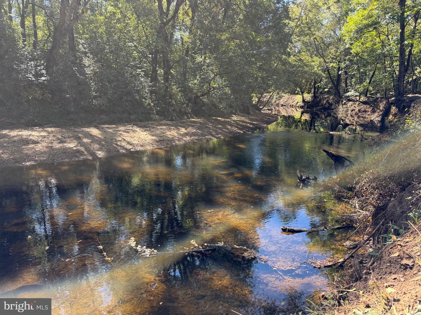0 COLEMAN MOUNTAIN RD, APPOMATTOX, Virginia 24522, ,Farm,For Sale,0 COLEMAN MOUNTAIN RD,VAAV2000038 MLS # VAAV2000038 0 COLEMAN MOUNTAIN RD, APPOMATTOX, Virginia 24522, ,Farm,For Sale,0 COLEMAN MOUNTAIN RD,VAAV2000038 MLS # VAAV2000038