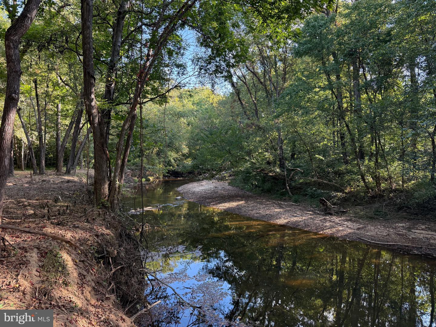 0 COLEMAN MOUNTAIN RD, APPOMATTOX, Virginia 24522, ,Farm,For Sale,0 COLEMAN MOUNTAIN RD,VAAV2000038 MLS # VAAV2000038 0 COLEMAN MOUNTAIN RD, APPOMATTOX, Virginia 24522, ,Farm,For Sale,0 COLEMAN MOUNTAIN RD,VAAV2000038 MLS # VAAV2000038