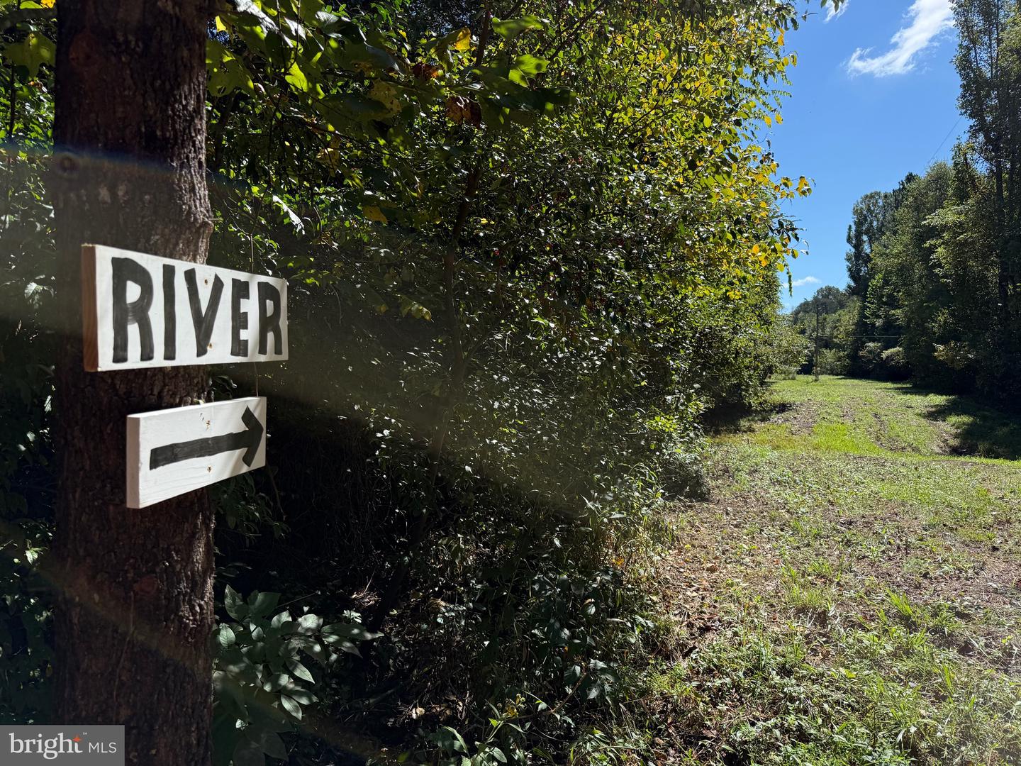 0 COLEMAN MOUNTAIN RD, APPOMATTOX, Virginia 24522, ,Farm,For Sale,0 COLEMAN MOUNTAIN RD,VAAV2000038 MLS # VAAV2000038 0 COLEMAN MOUNTAIN RD, APPOMATTOX, Virginia 24522, ,Farm,For Sale,0 COLEMAN MOUNTAIN RD,VAAV2000038 MLS # VAAV2000038