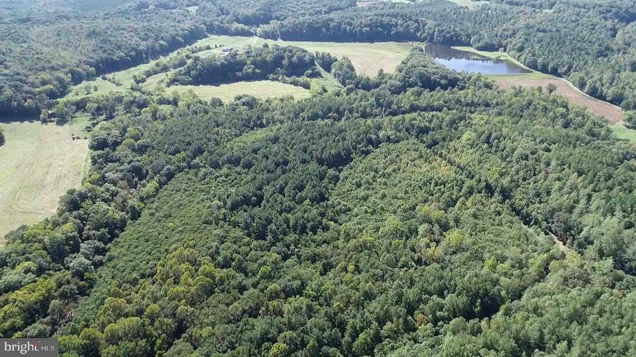 0 COLEMAN MOUNTAIN RD, APPOMATTOX, Virginia 24522, ,Farm,For Sale,0 COLEMAN MOUNTAIN RD,VAAV2000038 MLS # VAAV2000038 0 COLEMAN MOUNTAIN RD, APPOMATTOX, Virginia 24522, ,Farm,For Sale,0 COLEMAN MOUNTAIN RD,VAAV2000038 MLS # VAAV2000038