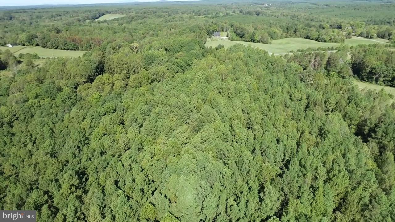 0 COLEMAN MOUNTAIN RD, APPOMATTOX, Virginia 24522, ,Farm,For Sale,0 COLEMAN MOUNTAIN RD,VAAV2000038 MLS # VAAV2000038 0 COLEMAN MOUNTAIN RD, APPOMATTOX, Virginia 24522, ,Farm,For Sale,0 COLEMAN MOUNTAIN RD,VAAV2000038 MLS # VAAV2000038
