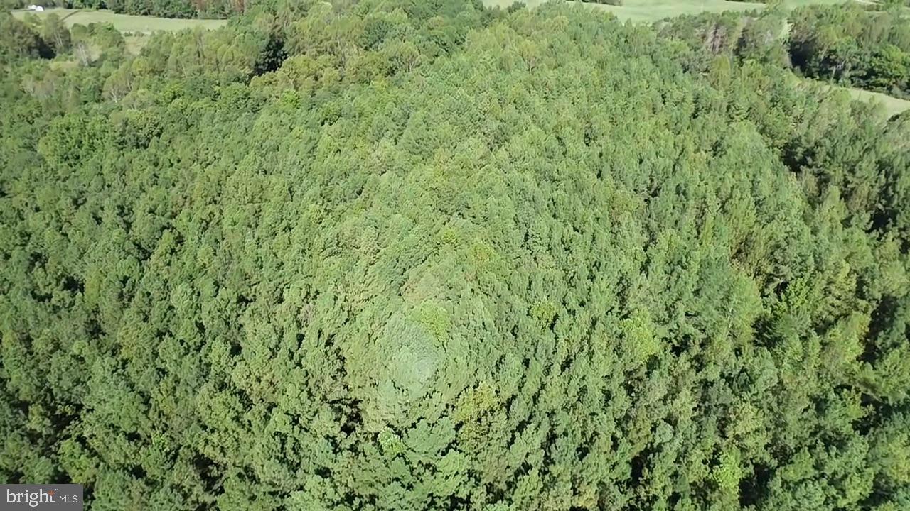 0 COLEMAN MOUNTAIN RD, APPOMATTOX, Virginia 24522, ,Farm,For Sale,0 COLEMAN MOUNTAIN RD,VAAV2000038 MLS # VAAV2000038 0 COLEMAN MOUNTAIN RD, APPOMATTOX, Virginia 24522, ,Farm,For Sale,0 COLEMAN MOUNTAIN RD,VAAV2000038 MLS # VAAV2000038