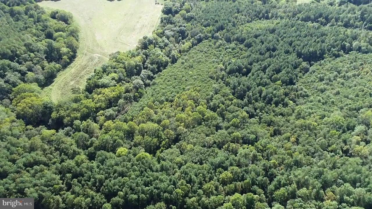 0 COLEMAN MOUNTAIN RD, APPOMATTOX, Virginia 24522, ,Farm,For Sale,0 COLEMAN MOUNTAIN RD,VAAV2000038 MLS # VAAV2000038 0 COLEMAN MOUNTAIN RD, APPOMATTOX, Virginia 24522, ,Farm,For Sale,0 COLEMAN MOUNTAIN RD,VAAV2000038 MLS # VAAV2000038