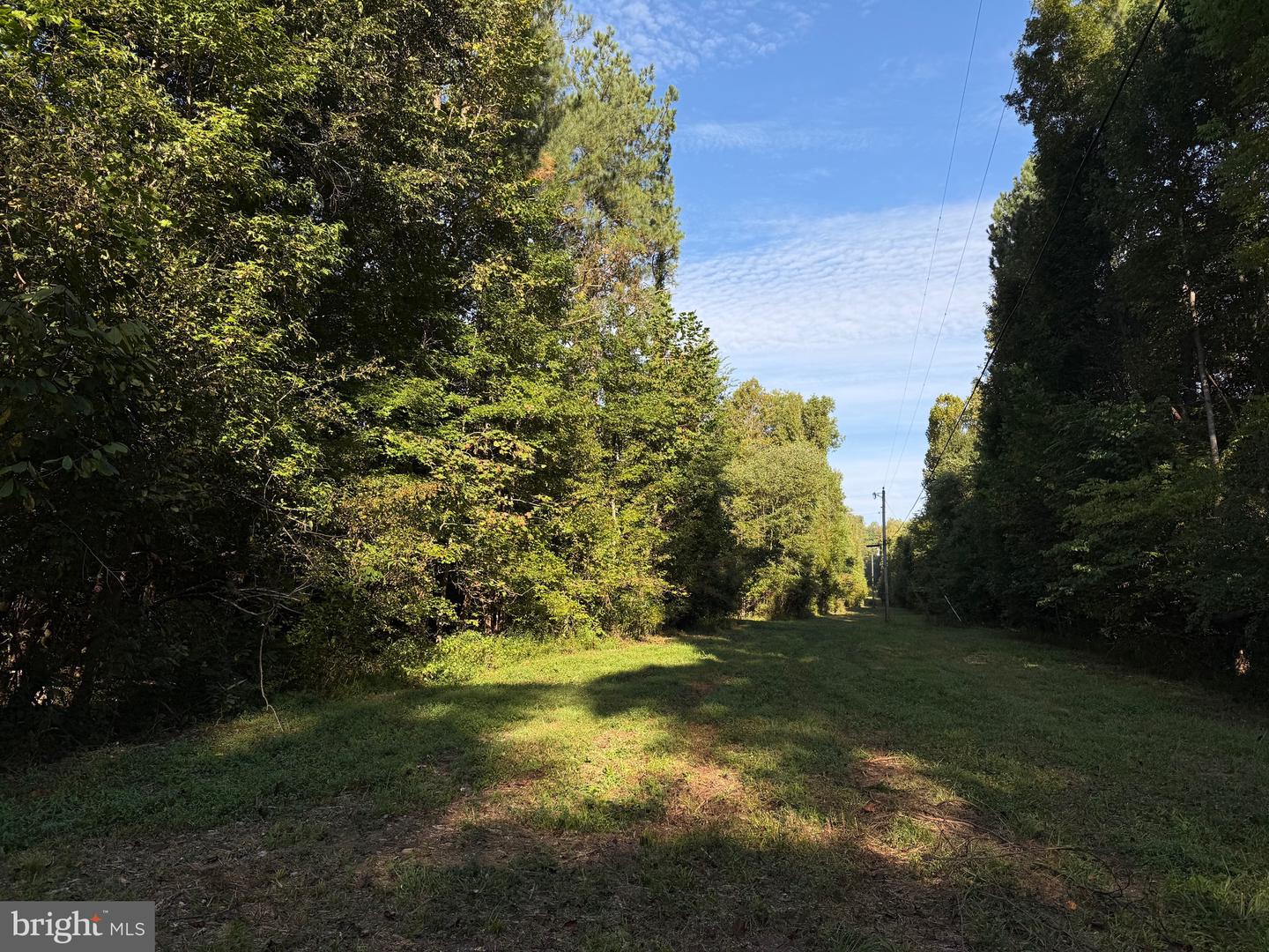 0 COLEMAN MOUNTAIN RD, APPOMATTOX, Virginia 24522, ,Farm,For Sale,0 COLEMAN MOUNTAIN RD,VAAV2000038 MLS # VAAV2000038 0 COLEMAN MOUNTAIN RD, APPOMATTOX, Virginia 24522, ,Farm,For Sale,0 COLEMAN MOUNTAIN RD,VAAV2000038 MLS # VAAV2000038