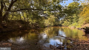0 COLEMAN MOUNTAIN RD, APPOMATTOX, Virginia 24522, ,Farm,For Sale,0 COLEMAN MOUNTAIN RD,VAAV2000038 MLS # VAAV2000038
