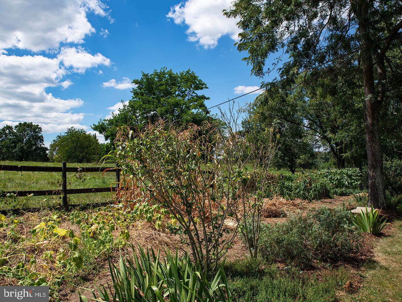 424 BALSLEY RD, STAUNTON, Virginia 24401, 3 Bedrooms Bedrooms, ,2 BathroomsBathrooms,Farm,For Sale,424 BALSLEY RD,VAAG2002656 MLS # VAAG2002656 424 BALSLEY RD, STAUNTON, Virginia 24401, 3 Bedrooms Bedrooms, ,2 BathroomsBathrooms,Farm,For Sale,424 BALSLEY RD,VAAG2002656 MLS # VAAG2002656