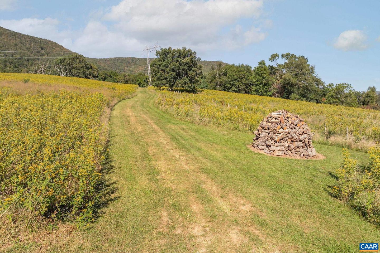 699 HENDRICKSON RD, PEMBROKE, Virginia 24136, 5 Bedrooms Bedrooms, ,3 BathroomsBathrooms,Residential,For Sale,699 HENDRICKSON RD,669395 MLS # 669395