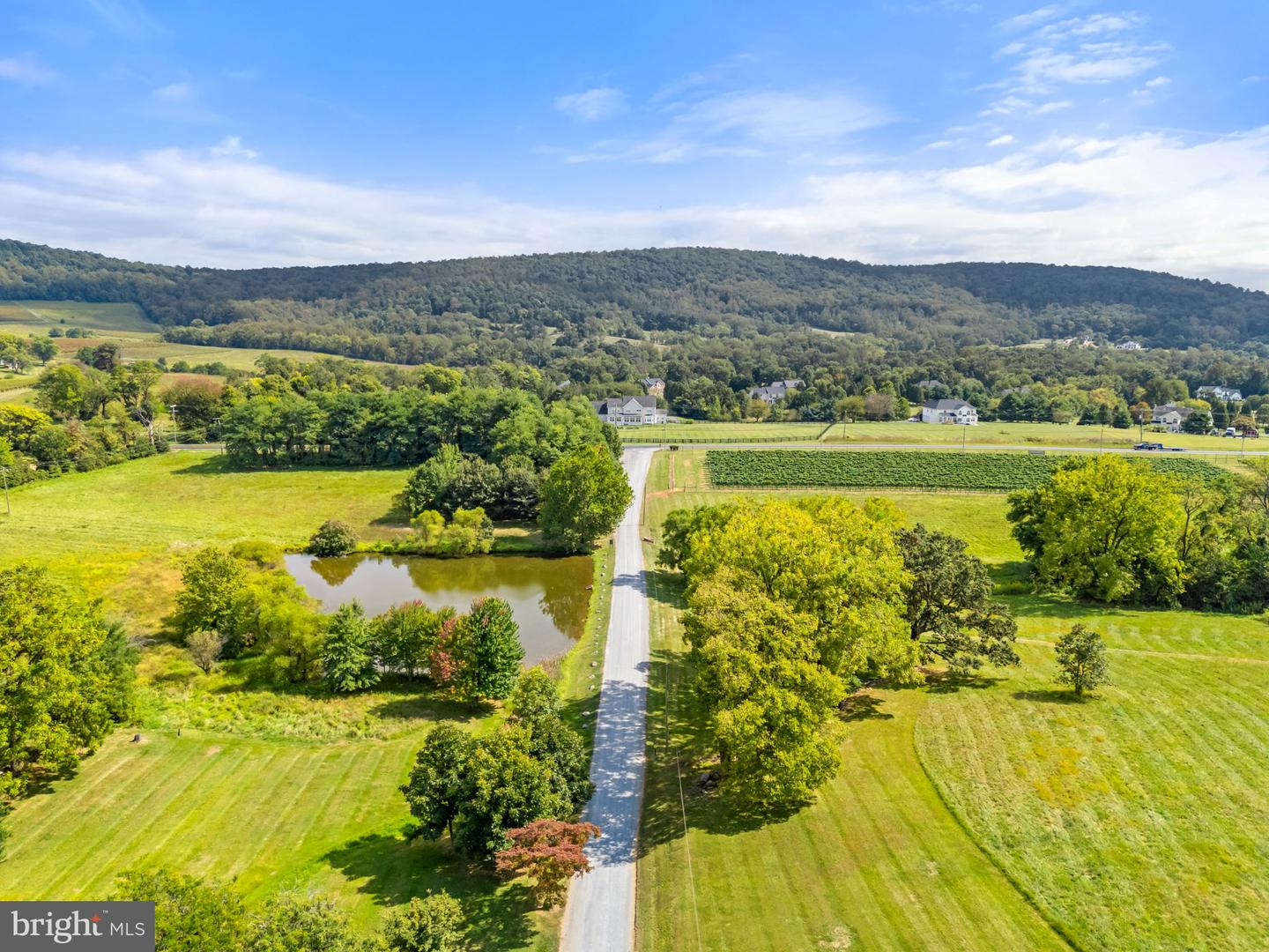 14001 HARPERS FERRY RD, HILLSBORO, Virginia 20132, 5 Bedrooms Bedrooms, ,3 BathroomsBathrooms,Farm,For Sale,14001 HARPERS FERRY RD,VALO2105910 MLS # VALO2105910