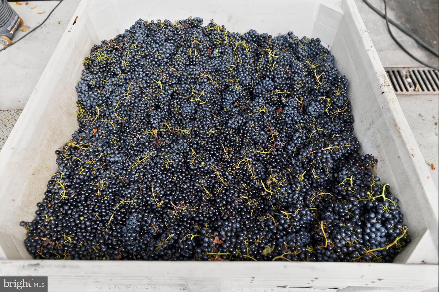 14001 HARPERS FERRY RD, HILLSBORO, Virginia 20132, 5 Bedrooms Bedrooms, ,3 BathroomsBathrooms,Farm,For Sale,14001 HARPERS FERRY RD,VALO2105910 MLS # VALO2105910