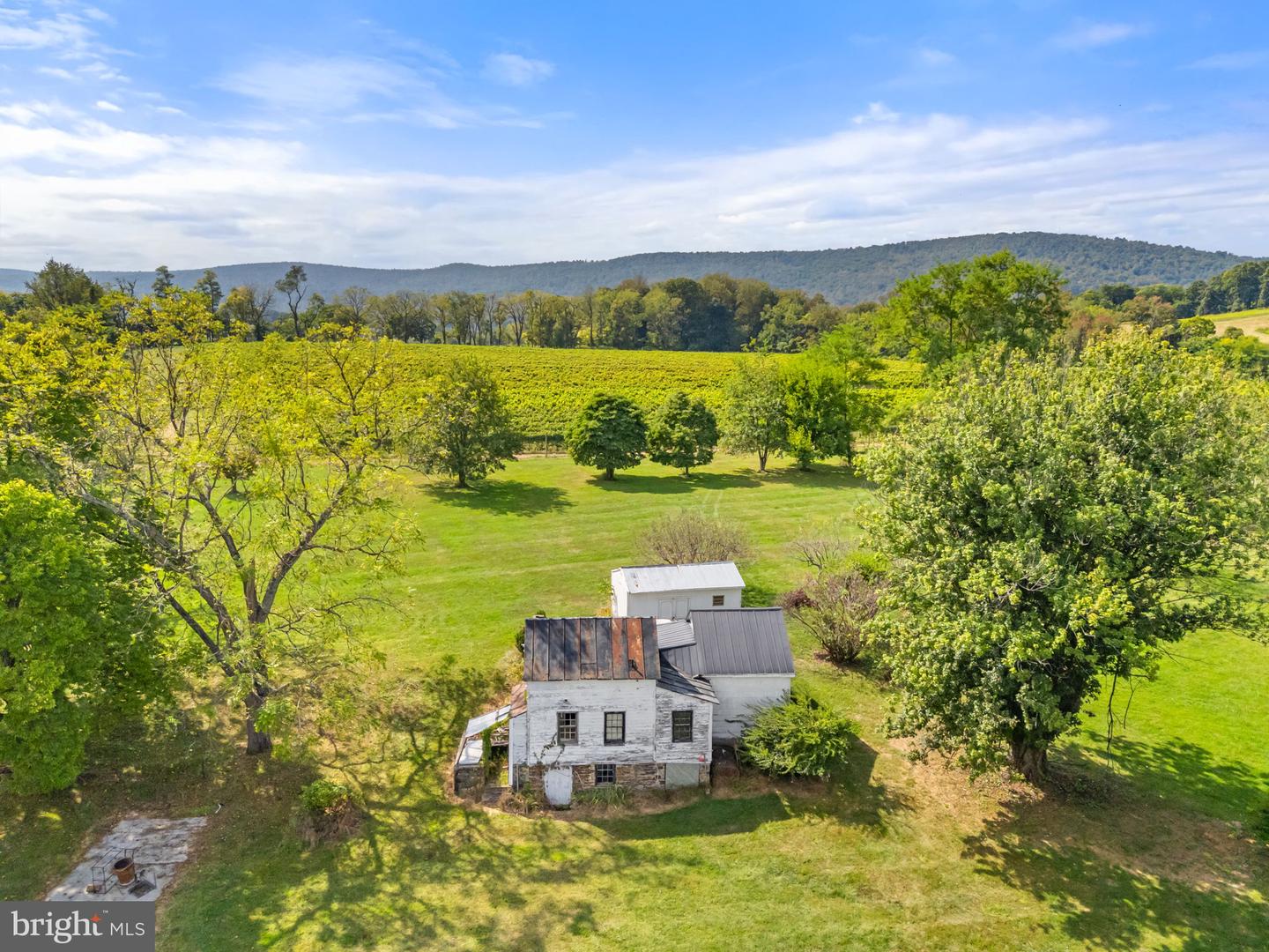 14001 HARPERS FERRY RD, HILLSBORO, Virginia 20132, ,Farm,For Sale,14001 HARPERS FERRY RD,VALO2107320 MLS # VALO2107320 14001 HARPERS FERRY RD, HILLSBORO, Virginia 20132, ,Farm,For Sale,14001 HARPERS FERRY RD,VALO2107320 MLS # VALO2107320