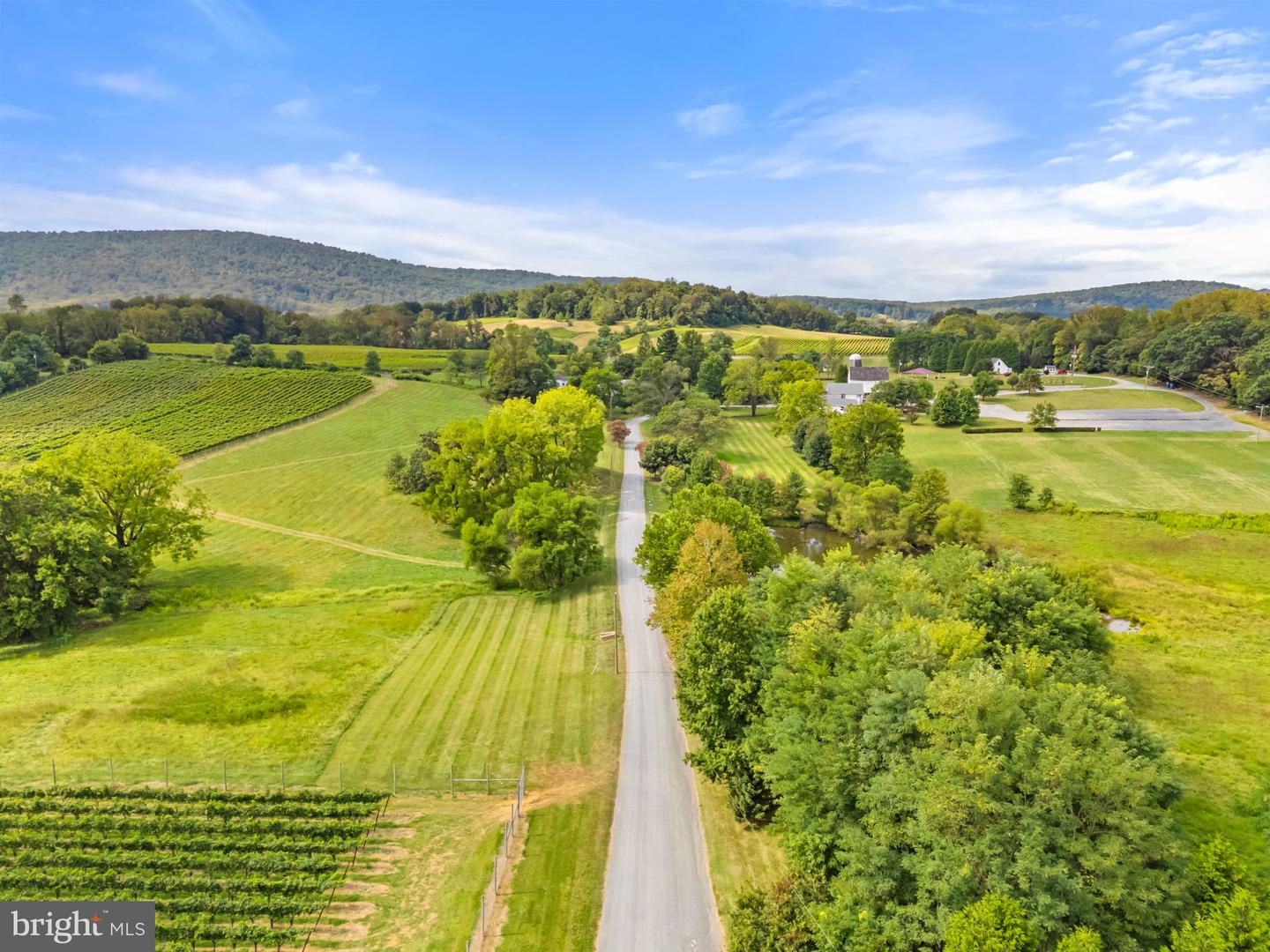 14001 HARPERS FERRY RD, HILLSBORO, Virginia 20132, ,Farm,For Sale,14001 HARPERS FERRY RD,VALO2107320 MLS # VALO2107320 14001 HARPERS FERRY RD, HILLSBORO, Virginia 20132, ,Farm,For Sale,14001 HARPERS FERRY RD,VALO2107320 MLS # VALO2107320