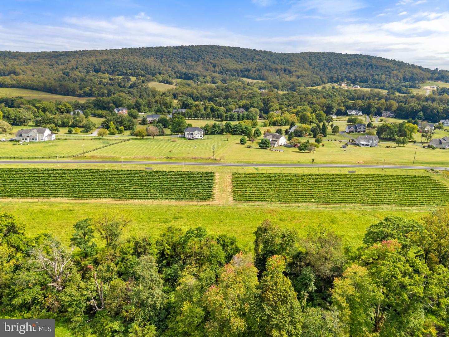 14001 HARPERS FERRY RD, HILLSBORO, Virginia 20132, ,Farm,For Sale,14001 HARPERS FERRY RD,VALO2107320 MLS # VALO2107320 14001 HARPERS FERRY RD, HILLSBORO, Virginia 20132, ,Farm,For Sale,14001 HARPERS FERRY RD,VALO2107320 MLS # VALO2107320