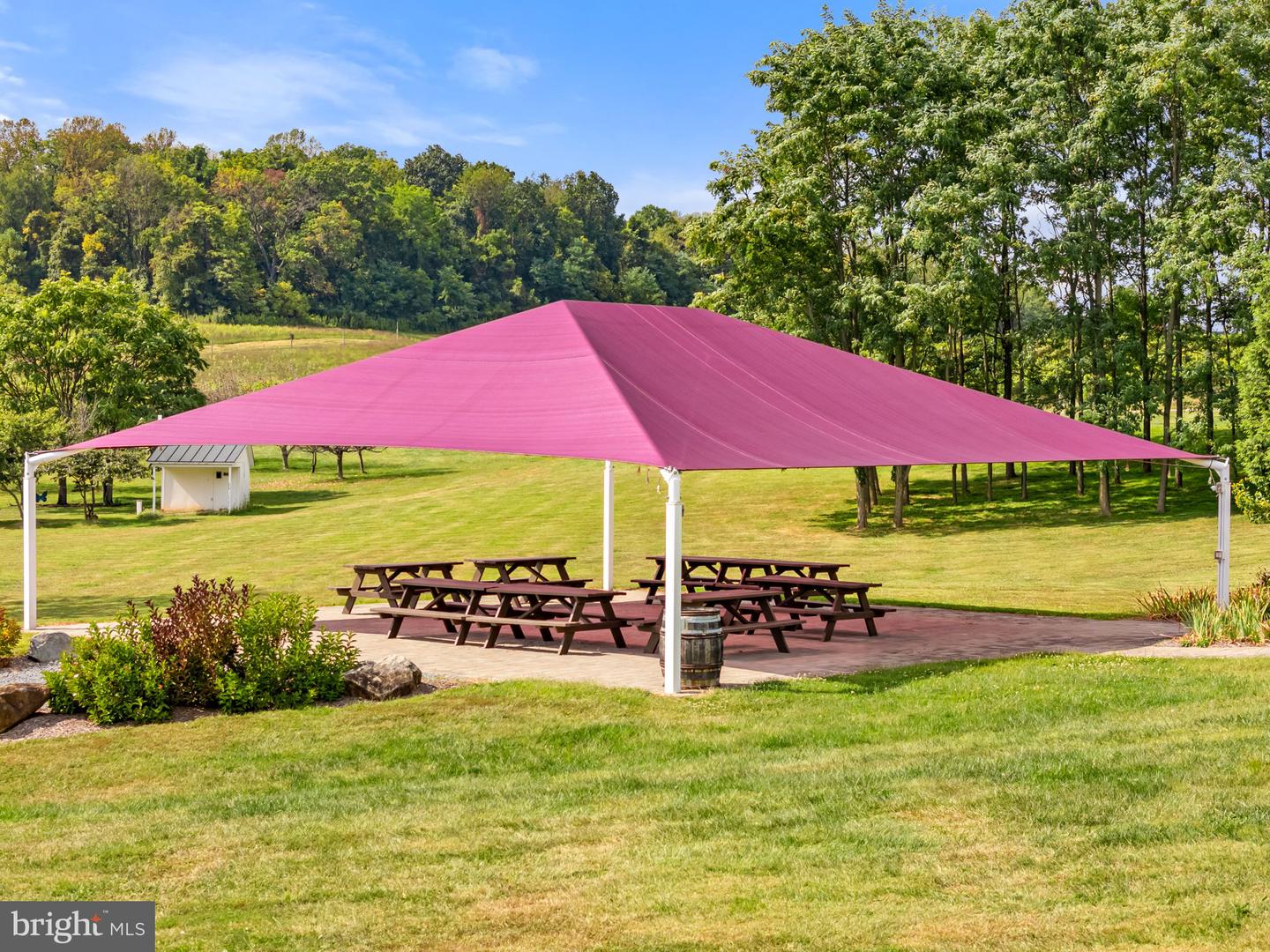 14001 HARPERS FERRY RD, HILLSBORO, Virginia 20132, ,Farm,For Sale,14001 HARPERS FERRY RD,VALO2107320 MLS # VALO2107320 14001 HARPERS FERRY RD, HILLSBORO, Virginia 20132, ,Farm,For Sale,14001 HARPERS FERRY RD,VALO2107320 MLS # VALO2107320