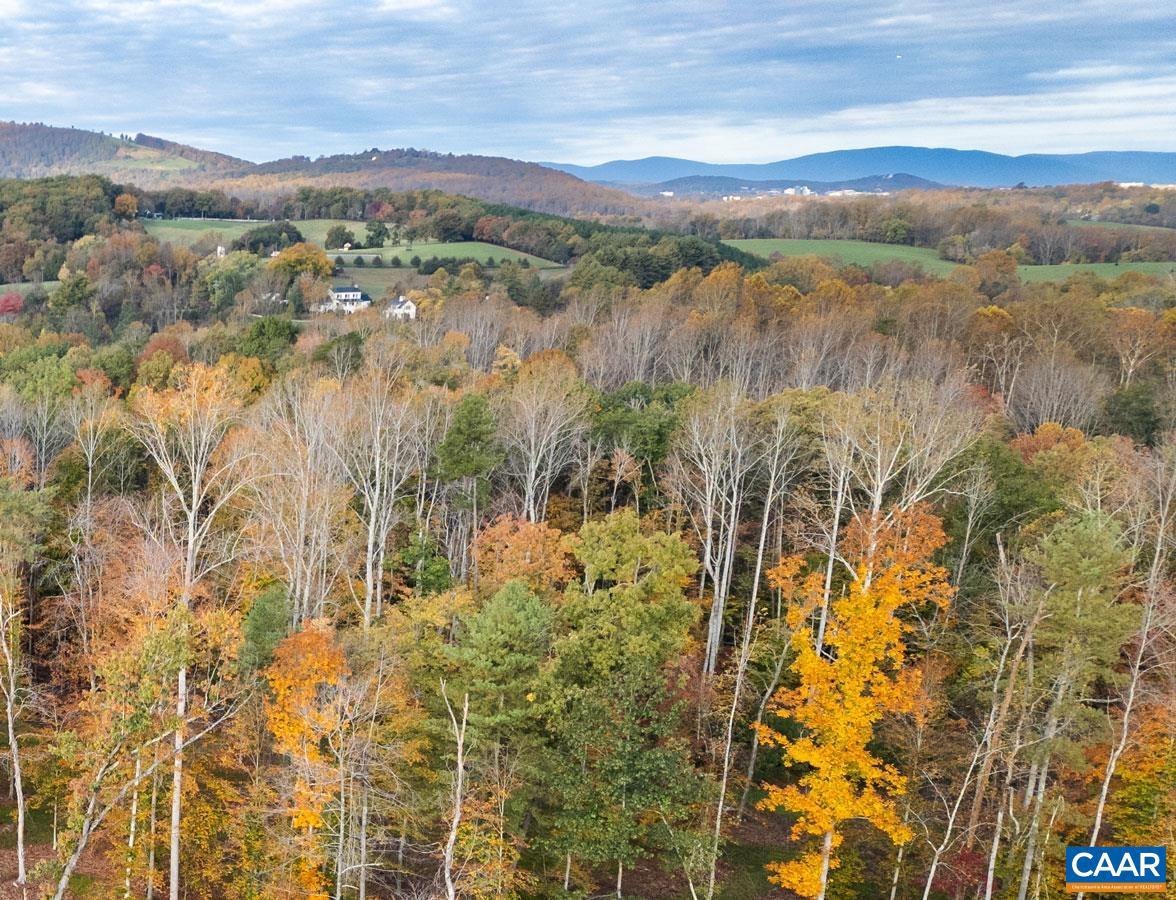 TBD SHADWELL RD, KESWICK, Virginia 22947, ,Land,For Sale,TBD SHADWELL RD,669249 MLS # 669249 TBD SHADWELL RD, KESWICK, Virginia 22947, ,Land,For Sale,TBD SHADWELL RD,669249 MLS # 669249